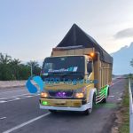 Harga Mobil Bak Pindahan